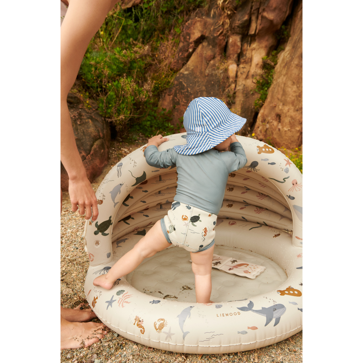 Gestreifter Sonnenhut Josefine 'Riverside/Creme de la Creme'