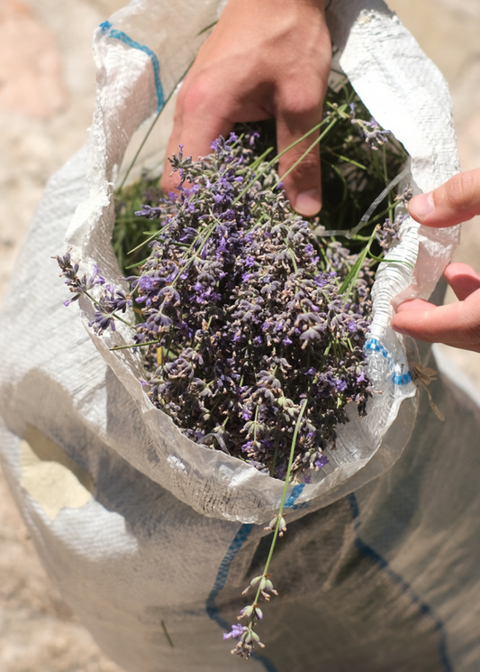 Räucherbündel 'Take it easy' - The Little One • Family.Concept.Store.