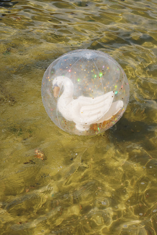 Wasserball 'Swan'