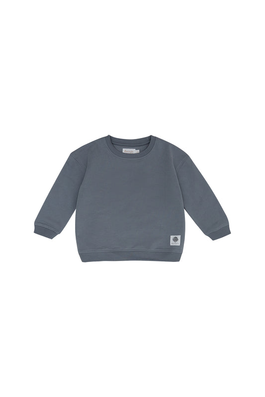 Unisex Oversized Sweatshirt 'Small Blueberry'