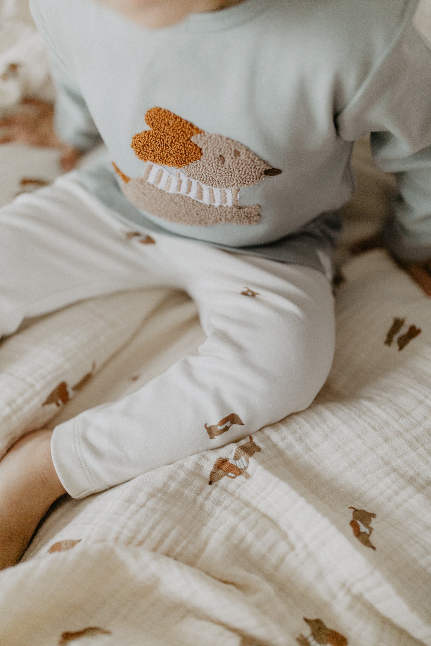 Pyjama-Set aus Baumwolle 'Terry Dog'