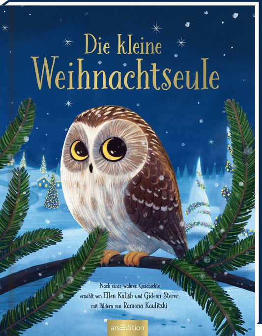 Die kleine Weihnachtseule - The Little One • Family.Concept.Store. 