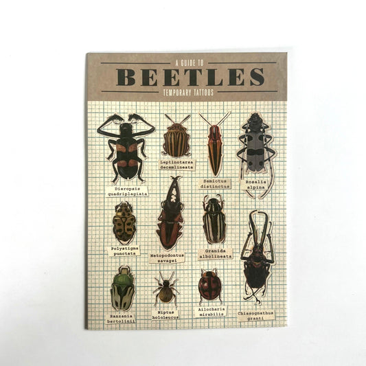Temporary Tattoos - Beetles - The Little One • Family.Concept.Store.